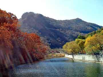 新澳天天开奖资料大全旅游团，野兔夹子